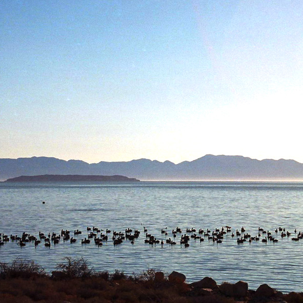 Islas de Bahía de los Ángeles